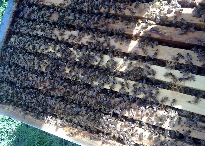 Nonno Leo Bed and breakfast